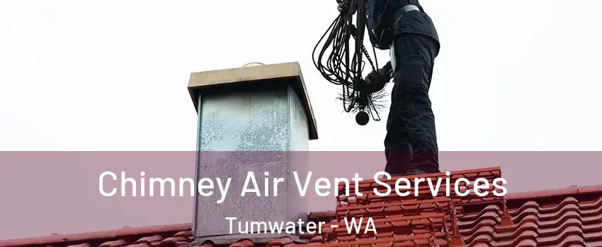  Chimney Air Vent Services Tumwater - WA