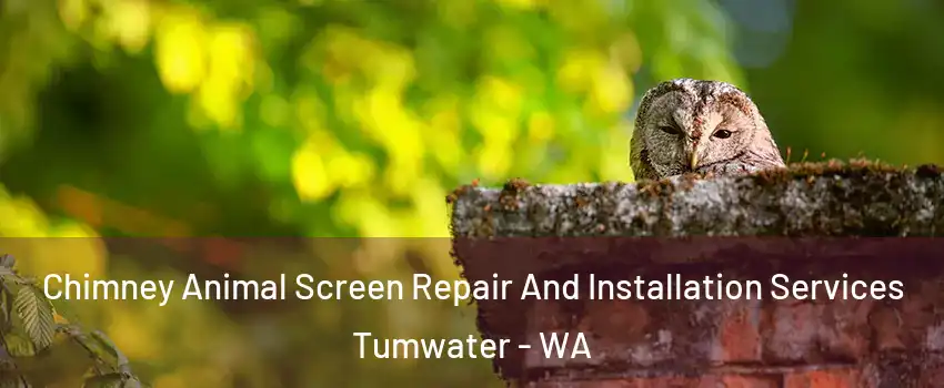  Chimney Animal Screen Repair And Installation Services Tumwater - WA
