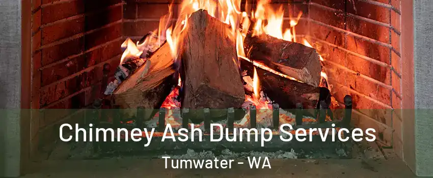  Chimney Ash Dump Services Tumwater - WA