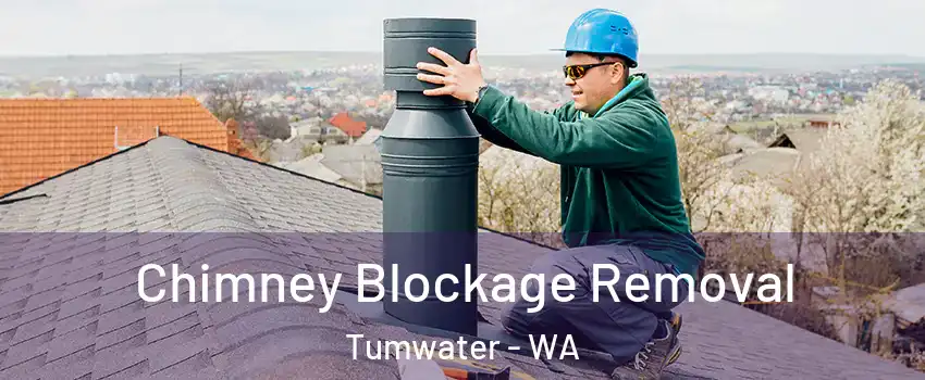  Chimney Blockage Removal Tumwater - WA