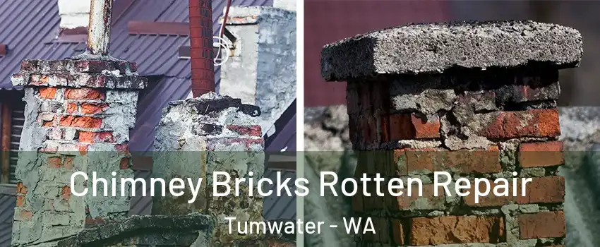  Chimney Bricks Rotten Repair Tumwater - WA