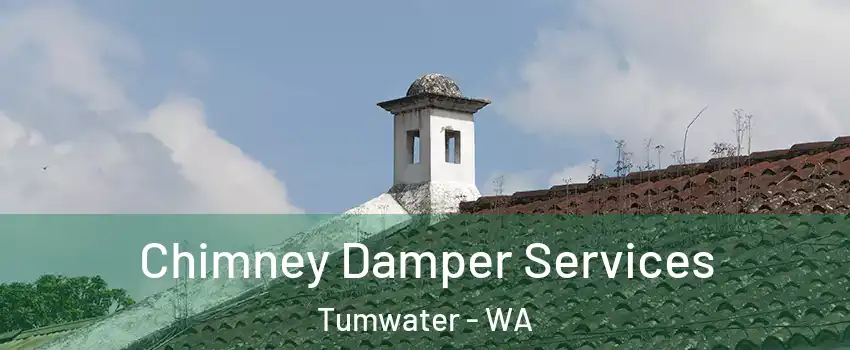  Chimney Damper Services Tumwater - WA