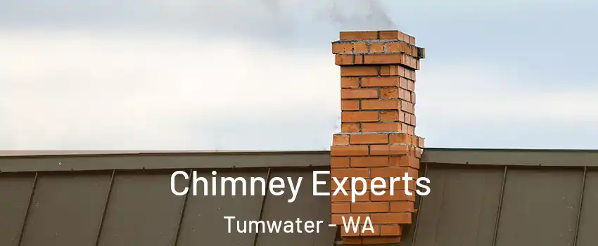  Chimney Experts Tumwater - WA