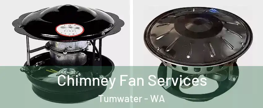  Chimney Fan Services Tumwater - WA