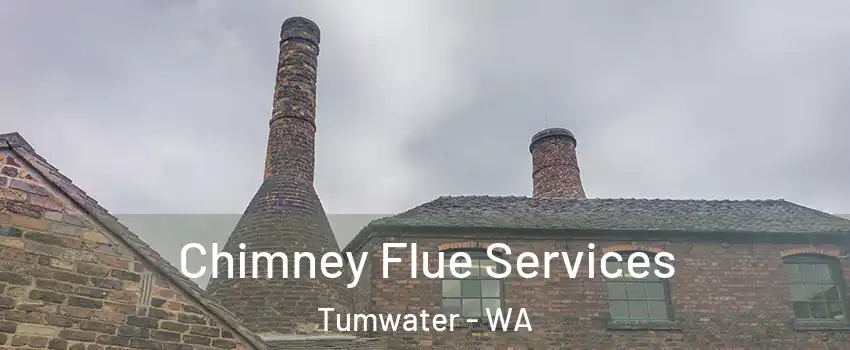  Chimney Flue Services Tumwater - WA
