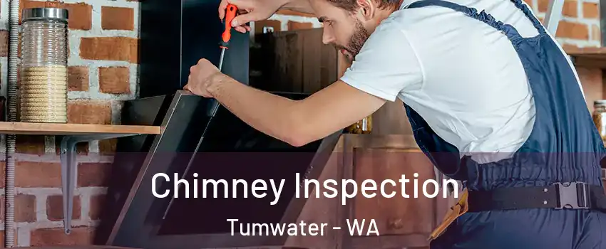  Chimney Inspection Tumwater - WA