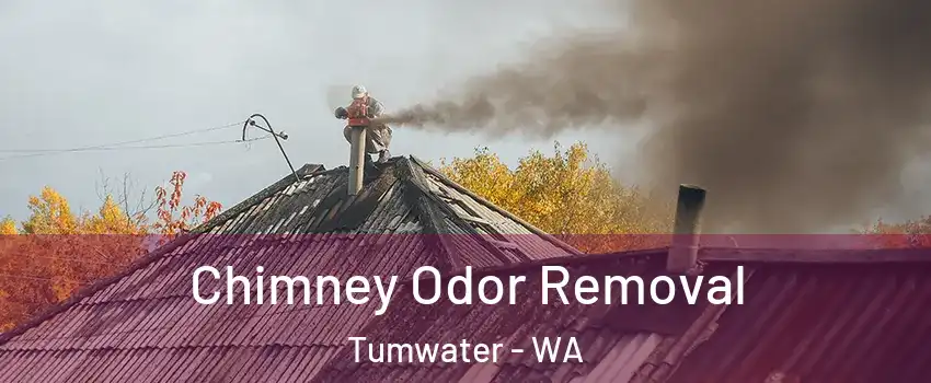  Chimney Odor Removal Tumwater - WA