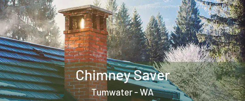  Chimney Saver Tumwater - WA