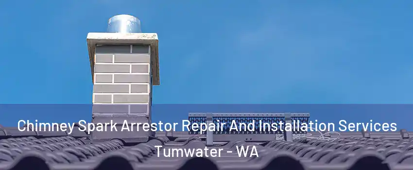  Chimney Spark Arrestor Repair And Installation Services Tumwater - WA