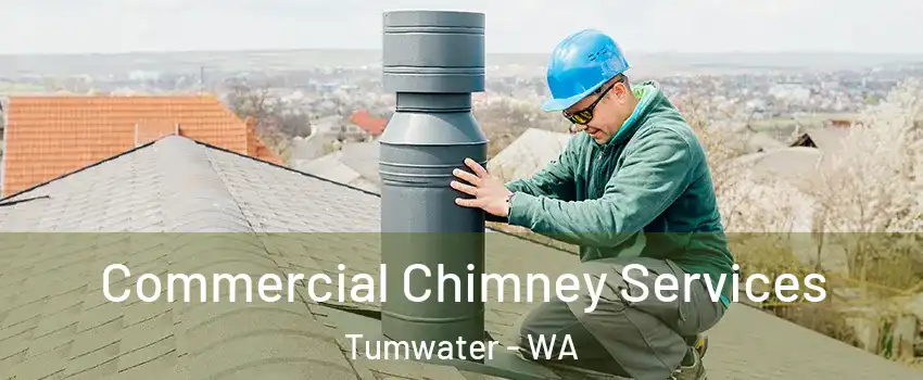  Commercial Chimney Services Tumwater - WA