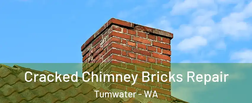  Cracked Chimney Bricks Repair Tumwater - WA