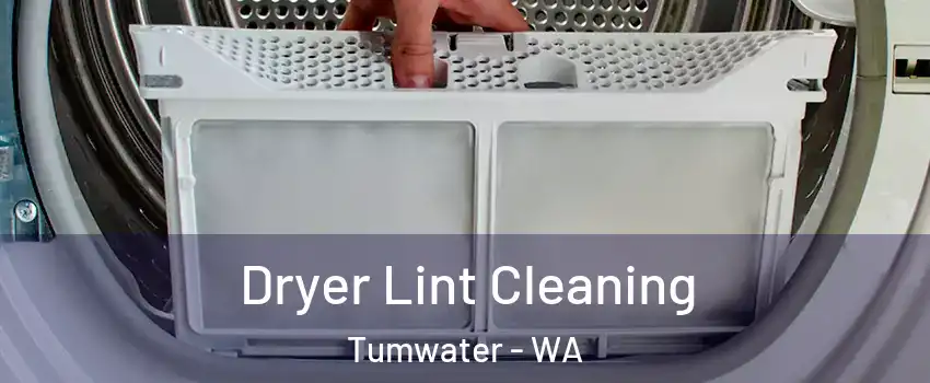  Dryer Lint Cleaning Tumwater - WA