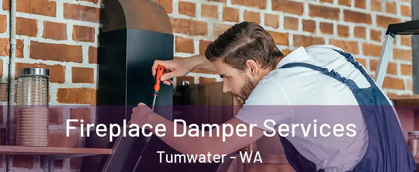 Fireplace Damper Services Tumwater - WA