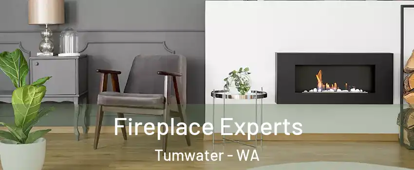  Fireplace Experts Tumwater - WA