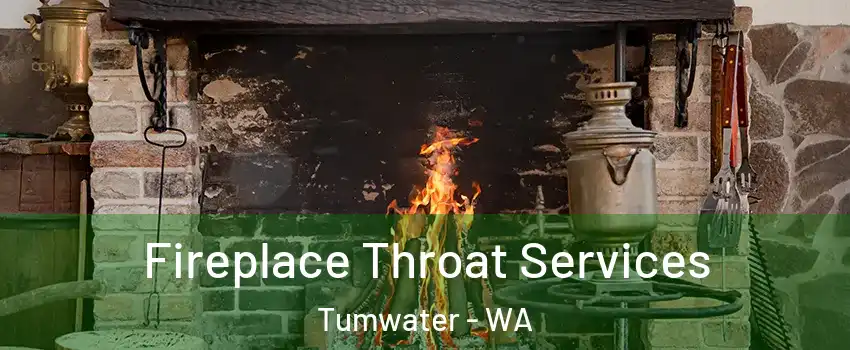  Fireplace Throat Services Tumwater - WA