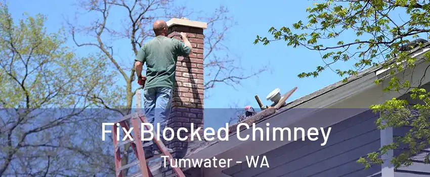  Fix Blocked Chimney Tumwater - WA