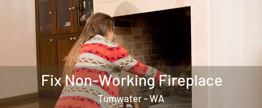  Fix Non-Working Fireplace Tumwater - WA