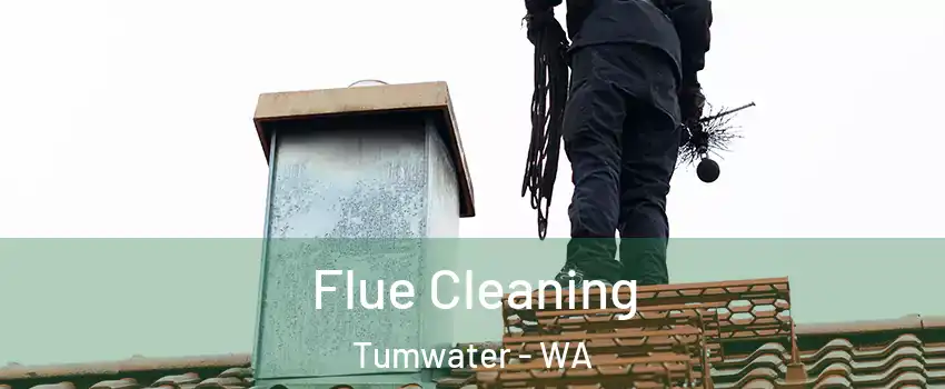  Flue Cleaning Tumwater - WA