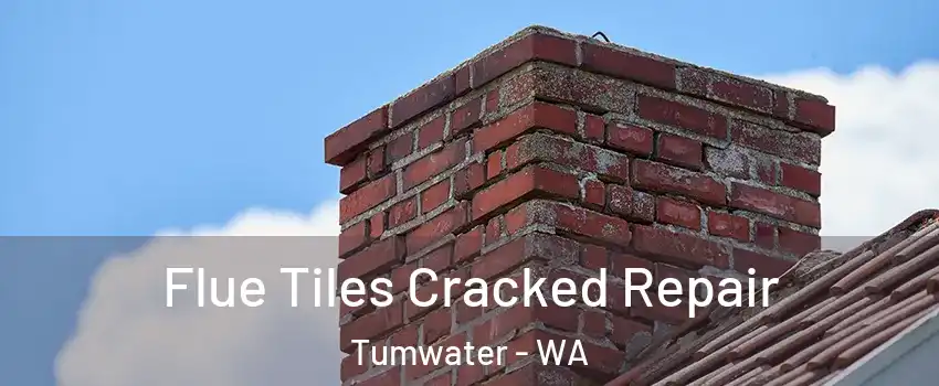  Flue Tiles Cracked Repair Tumwater - WA