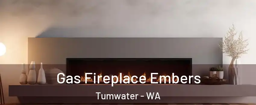  Gas Fireplace Embers Tumwater - WA