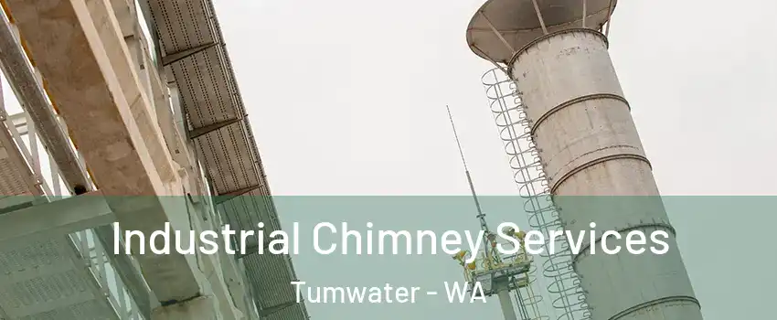  Industrial Chimney Services Tumwater - WA