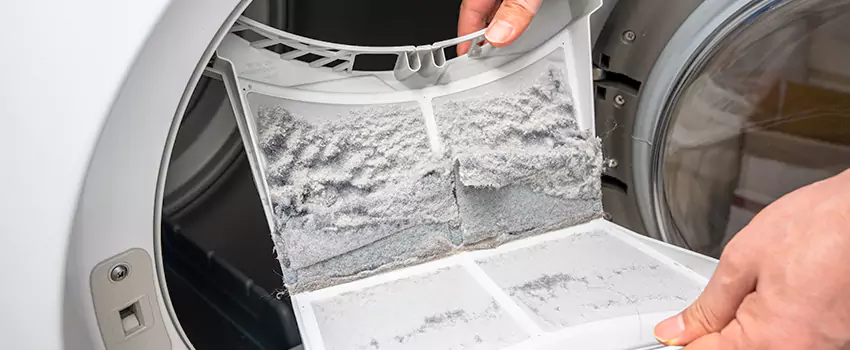 Best Dryer Lint Removal Company in Tumwater, Washington