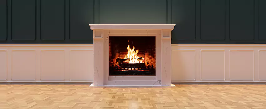 Napoleon Electric Fireplaces Inspection Service in Tumwater, Washington