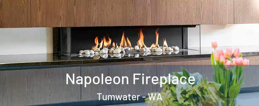  Napoleon Fireplace Tumwater - WA