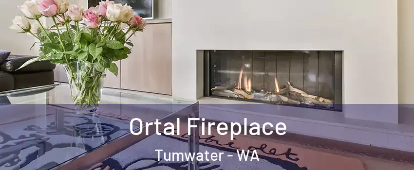 Ortal Fireplace Tumwater - WA