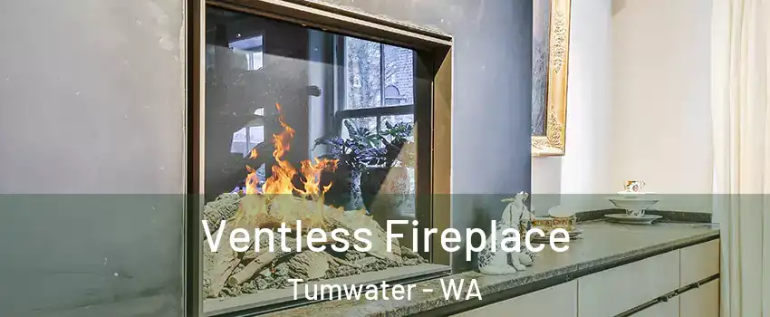  Ventless Fireplace Tumwater - WA